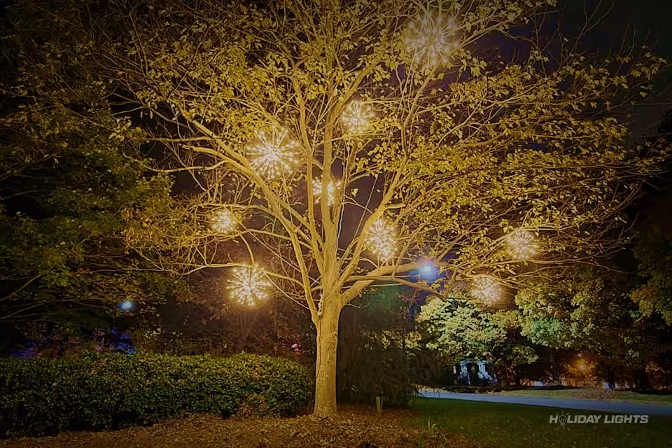 Spritzers restaurant holiday tree decoration with professional Christmas lighting Spritzers restaurant holiday tree decoration with professional Christmas lighting