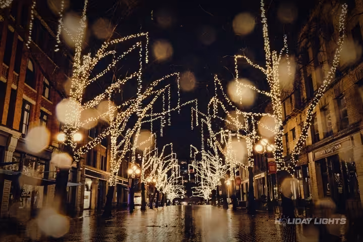 Professional municipal Christmas light installation in Dunstan, Maine — Cityscape Holiday Lighting